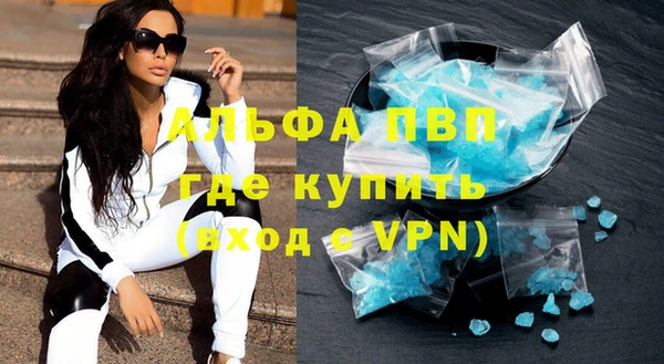 тгк Дмитриев
