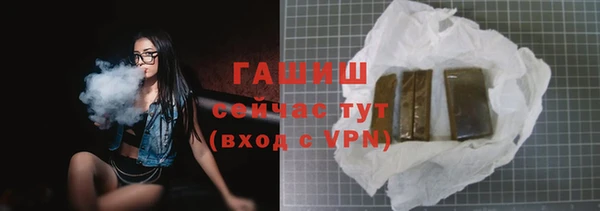 тгк Дмитриев