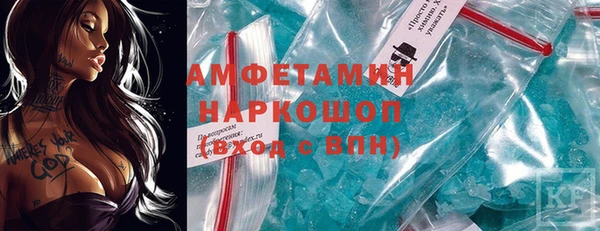 тгк Дмитриев