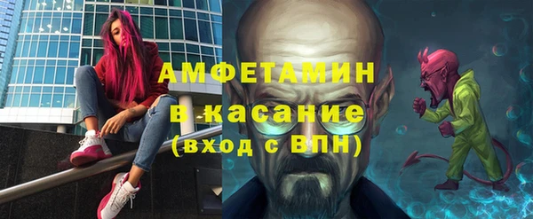 тгк Дмитриев