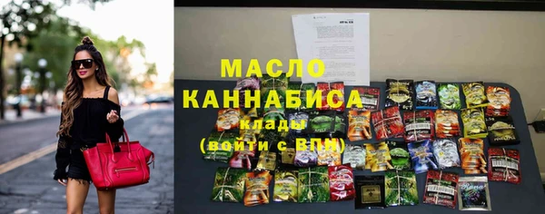тгк Дмитриев