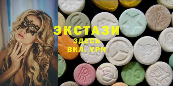 тгк Дмитриев