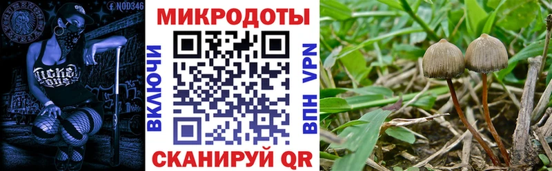 Галлюциногенные грибы Magic Shrooms  Купить закладки  Новомосковск 